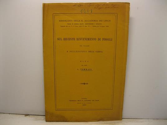 Sul recente rinvenimento di fossili nel calcare a Bellerophon della Carnia - copertina