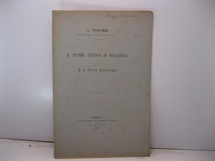 Il sistema liassico di Roccantica e i suoi fossili - copertina