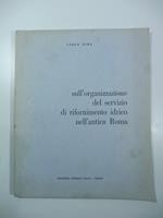 Sull'organizzazione del servizio di rifornimento idrico nell'antica Roma. La ricostruzione pontificia degli acquedotti