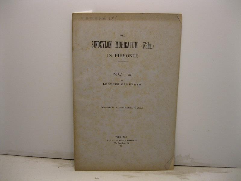 Libreria Coenobium