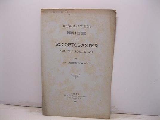 Osservazioni intorno a due specie di eccoptogaster nocive agli olmi - Lorenzo Camerano - copertina