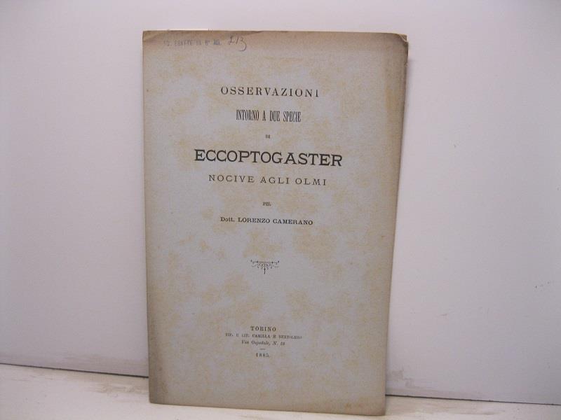 Libreria Coenobium