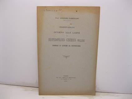 Osservazioni intorno alle larve di hesperophanes cinereus willers dannose ai legnami da costruzione - Lorenzo Camerano - copertina