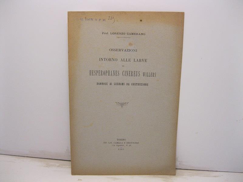 Libreria Coenobium