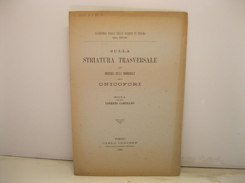 Libreria Coenobium