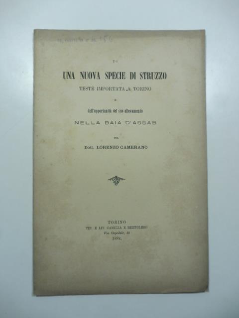 Libreria Coenobium