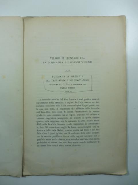 Libreria Coenobium