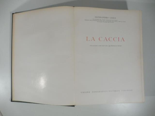 Libreria Coenobium