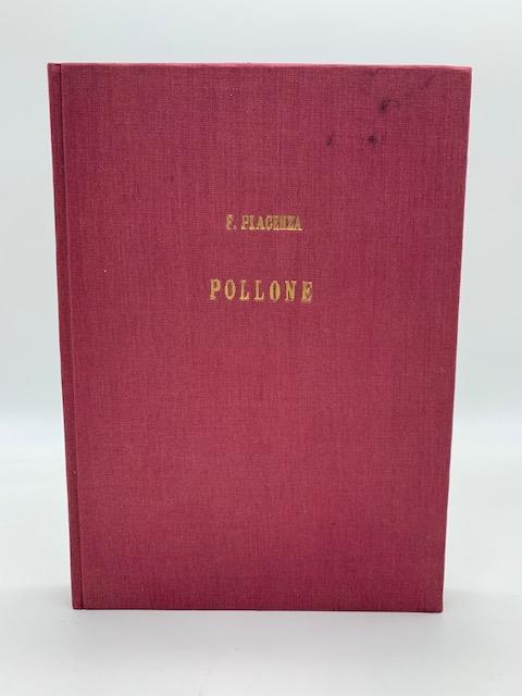 Pollone nella sua vita locale e nell'ambiente storico del Piemonte - Felice Piacenza - copertina