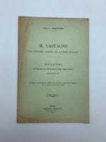 Il castagno nell'economia agricola ed alpestre italiana. Relazione al Congresso Nazionale degli Agricoltori, Mondovi' 1907