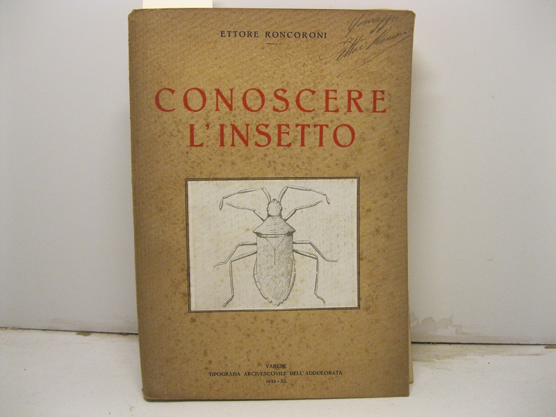 Libreria Coenobium