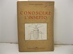 Conoscere l'insetto