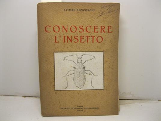 Conoscere l'insetto - Ettore Roncoroni - copertina