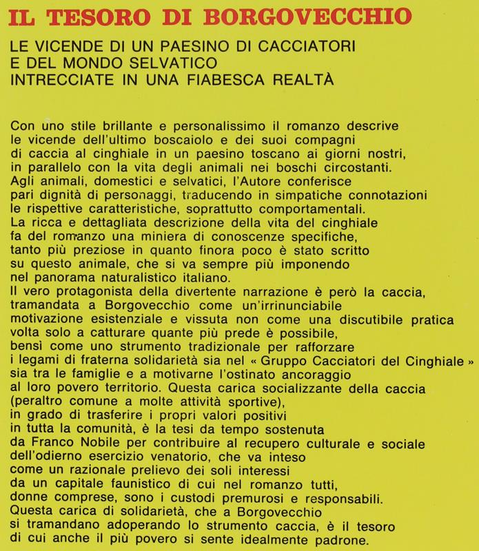 Il Tesoro Di Borgovecchio. [Prima Edizione