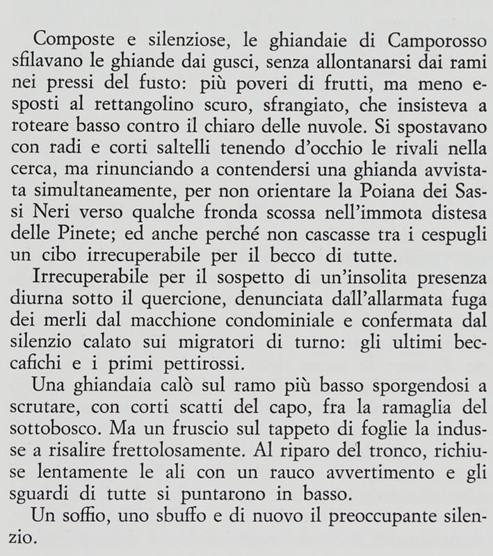 Il Tesoro Di Borgovecchio. [Prima Edizione