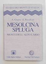 Mesolcina - Spluga. Monti dell'Alto Làrio