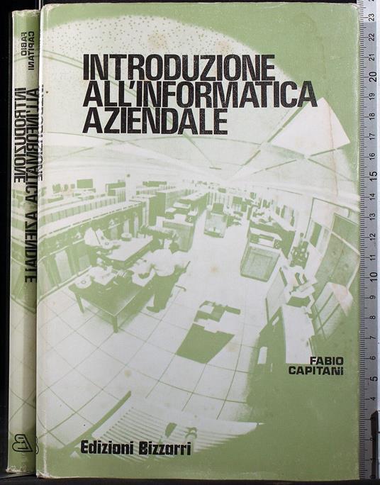 Introduzione all'informatica aziendale - Fabio Capitani - copertina