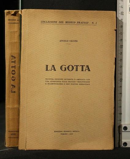La Gotta - Angelo Ceconi - copertina