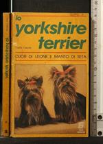 Lo Yorkshire Terrier