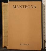 Tutta la pittura del Mantegna