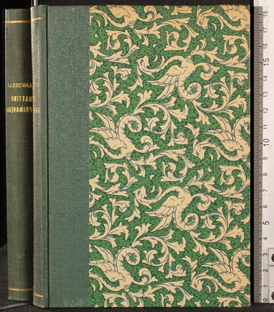 Mattino di primavera - Giuseppe Fanciulli - copertina