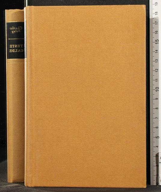 Teste calde - Charles Foley - copertina