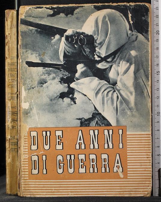 Due anni di guerra - Gray - copertina