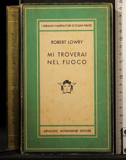 Mi troverai nel fuoco - Robert Lowry - copertina