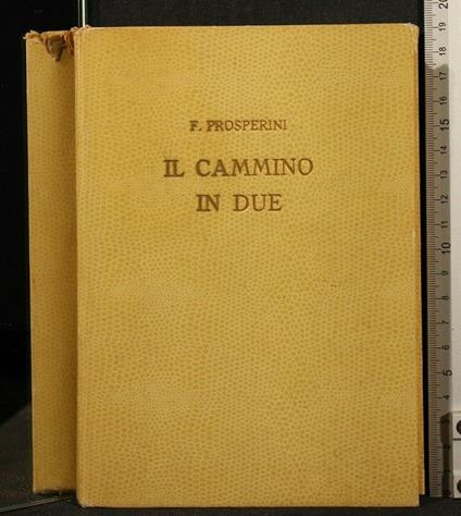 Il Cammino in Due - Ferdinando Prosperini - copertina