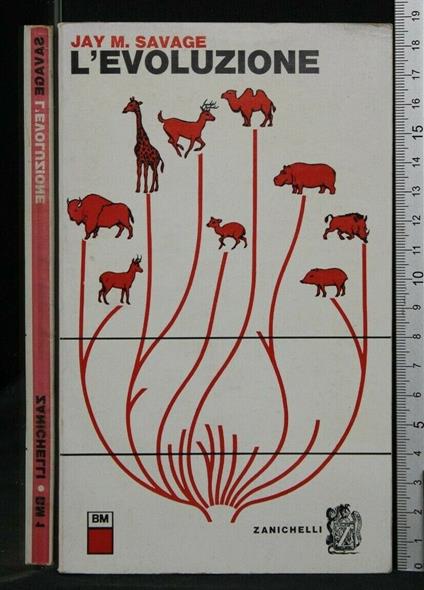 L' Evoluzione - Jay M. Savage - copertina
