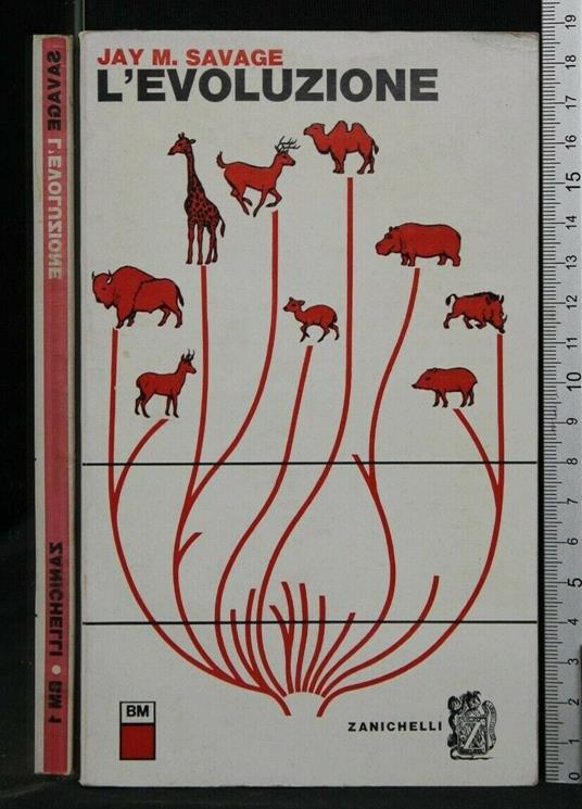 L' Evoluzione - Jay M. Savage - copertina