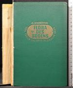 Flora des Sudens