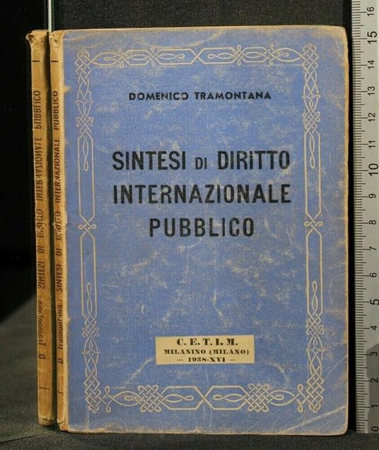 Sintesi di Diritto Internazionale Pubblico - Domenico Tramontana - copertina