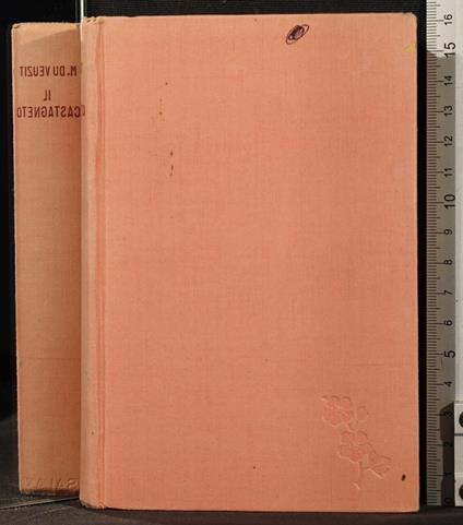 Il castagneto - Max du Veuzit - copertina