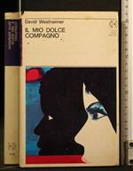 Il Mio Dolce Compagno