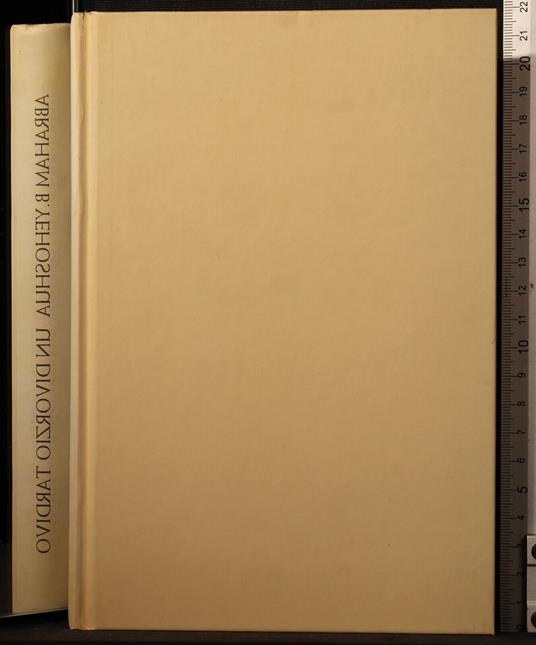 Un divorzio tardivo - Abraham Yehoshua - copertina