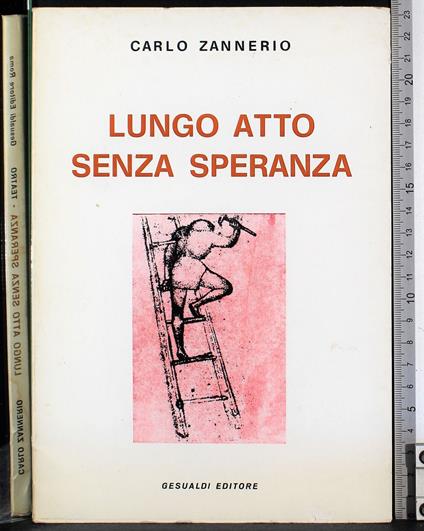 Lungo atto senza speranza - Carlo Zannerio - copertina