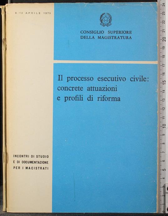 Il processo esecutivo civile: concrete attuazioni. - copertina