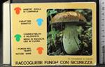 Raccogliere funghi con sicurezza
