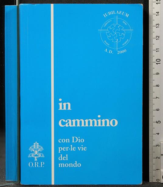 In Cammino con Dio per Le Vie Del - copertina