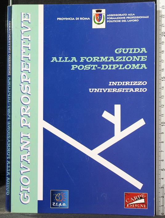 Guida Alla Formazione Post Diploma. Indirizzo Universitario - copertina