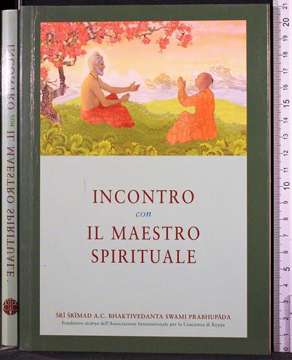 Incontro con il maestro spirituale - copertina