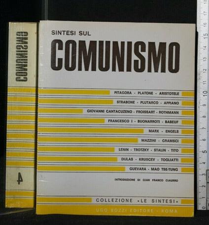 Sintesi Sul Comunismo - copertina
