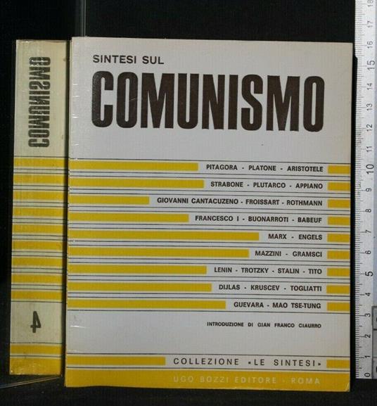Sintesi Sul Comunismo - copertina