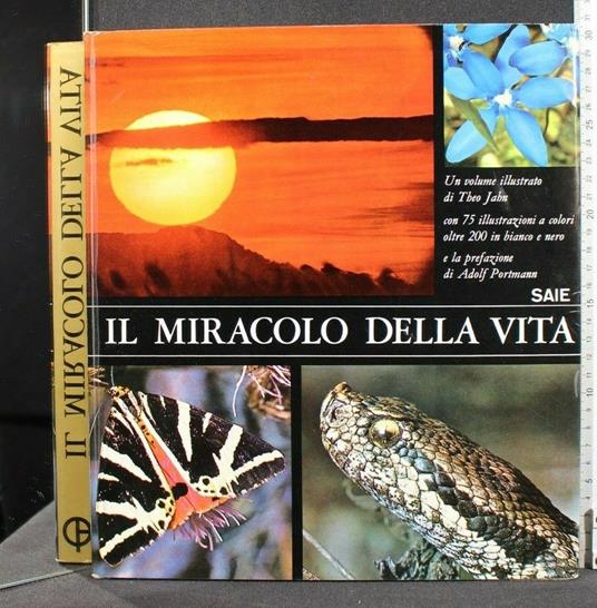 Il Miracolo Della Vita - copertina