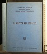 Il Diritto Dei Sindacati