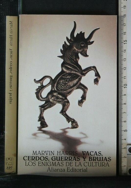 Los Enigmas De La Cultura - copertina