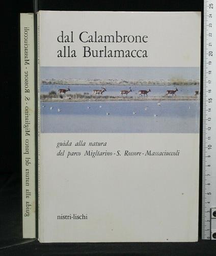 Dal Calambrone Alla Burlamacca - copertina