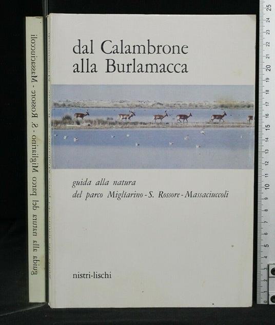 Dal Calambrone Alla Burlamacca - copertina