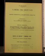 Atti Parlamentari X Legislatura Indagini Conoscitive E